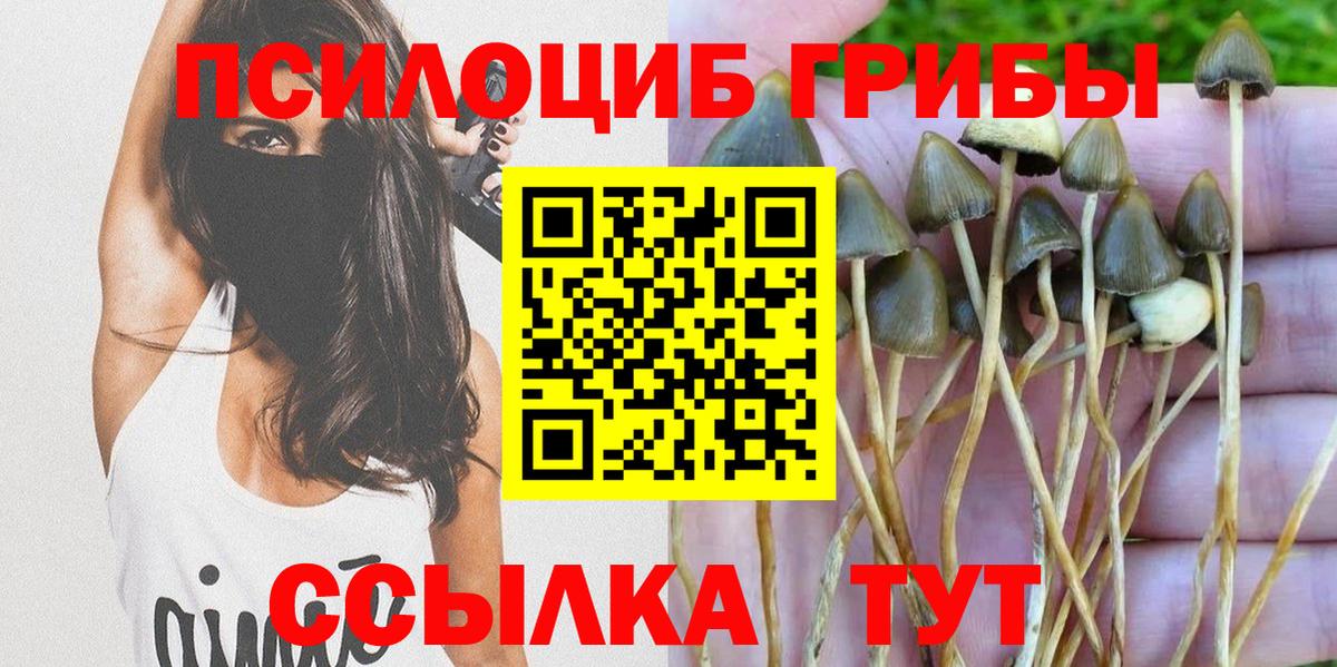 Каменка  Псилоцибиновые грибы Psilocybine cubensis  Вход с VPN 